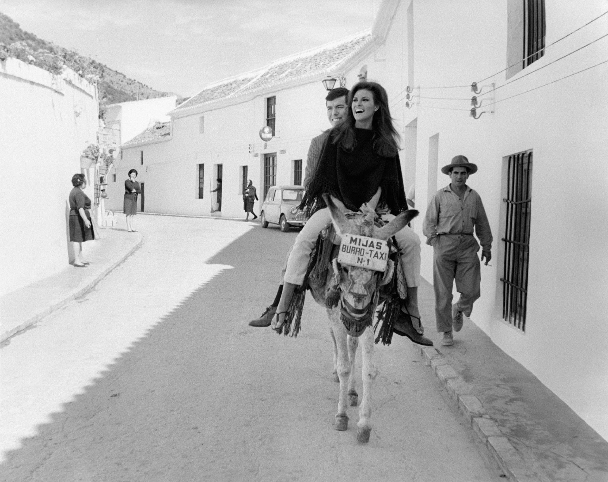 Raquel Welch And Patrick Curtis Riding A Donkey In Malaga, 1966.