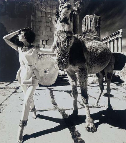 Dorothea Mcgowan &Amp;Amp; Camel, Baalbek, 1962