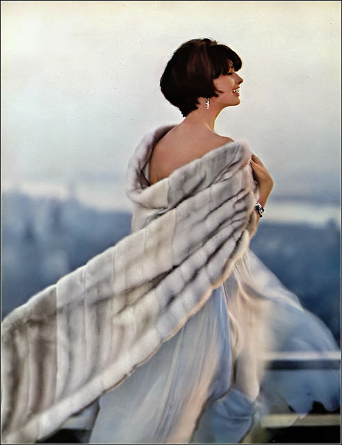 Dorothea Mcgowan In Oval-Shaped Cape-Wrap Of Morning Light Emba Pale Blue Mink, Harper'S Bazaar, 1964