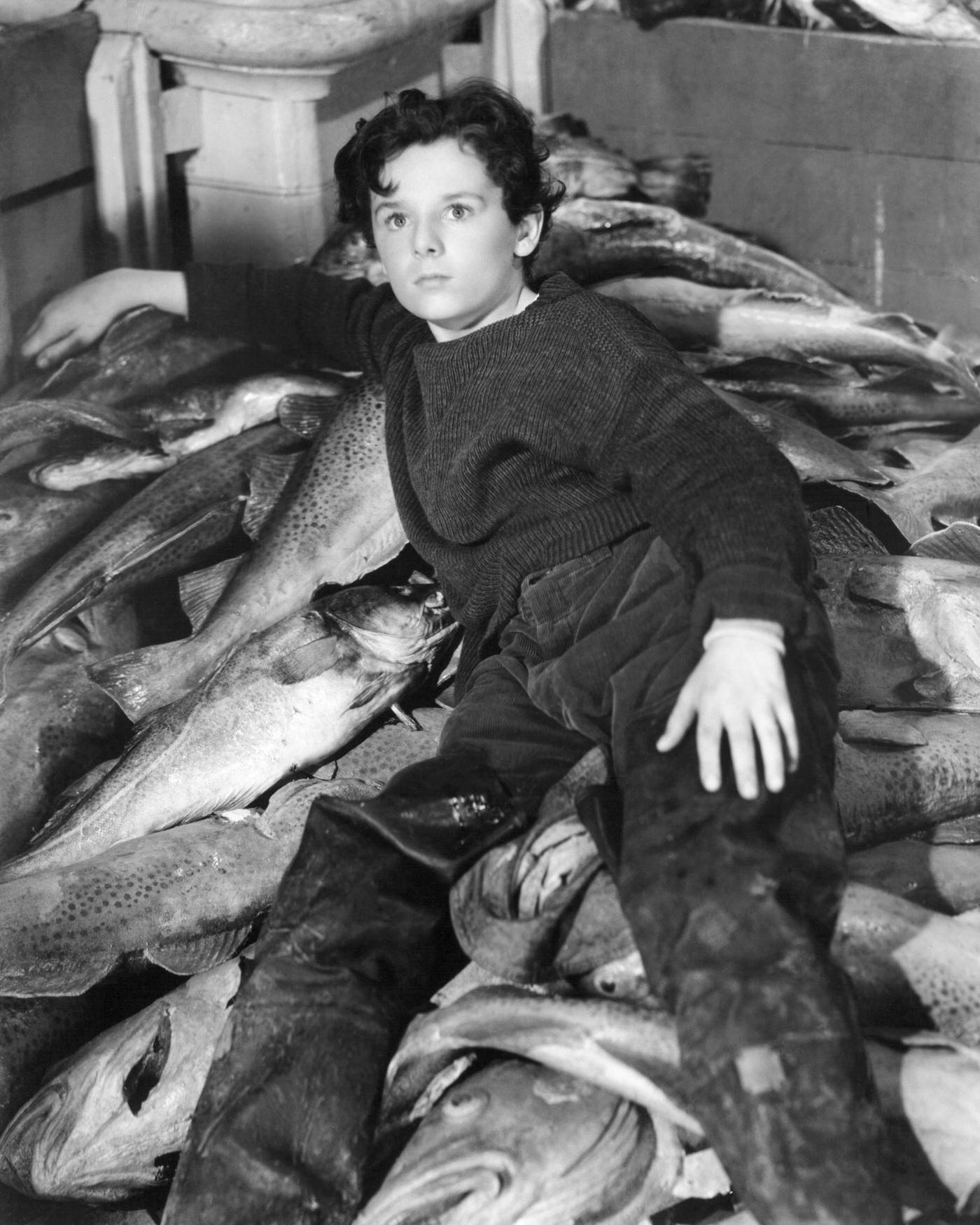 Freddie Bartholomew As Harvey Cheyne In &Amp;Quot;Captains Courageous&Amp;Quot;, 1937.