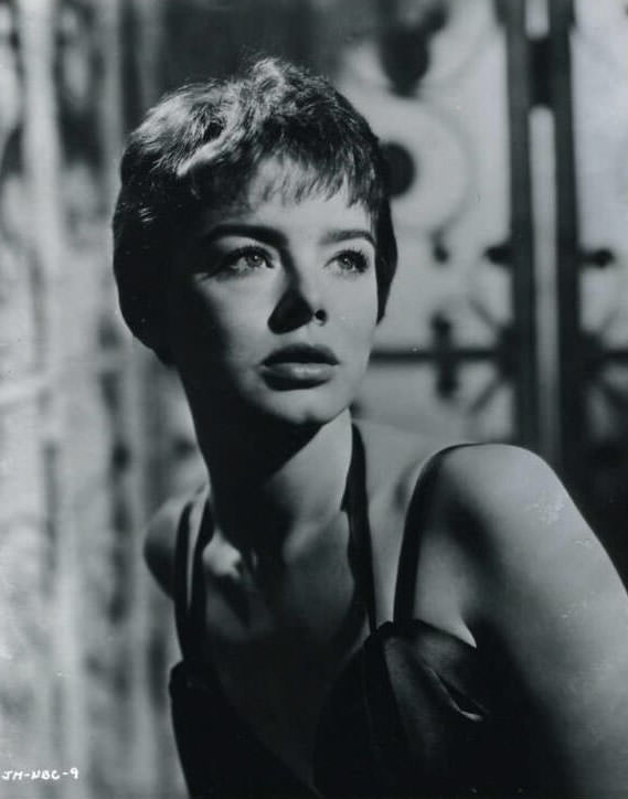 Cherished Image Of Janet Munro