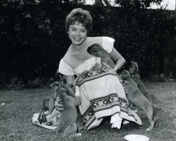 Remembering Janet Munro: An Icon