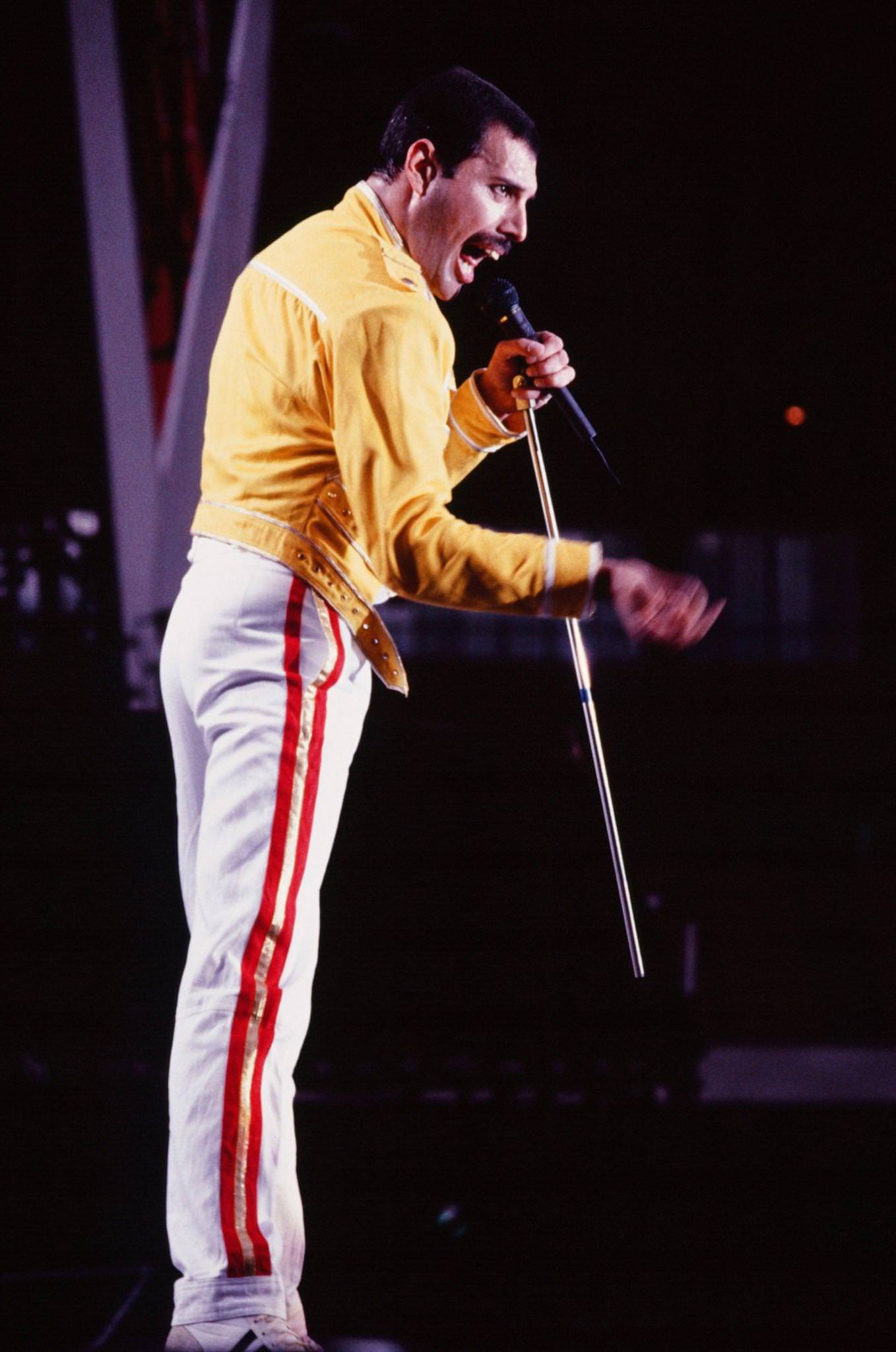 Freddie Mercury At Queen Concert, 1986.