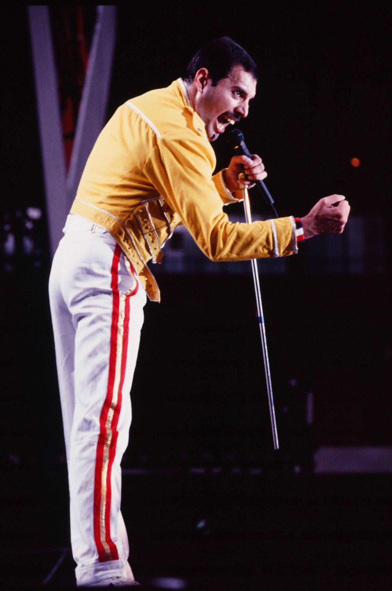 Freddie Mercury At Queen Concert, 1986.