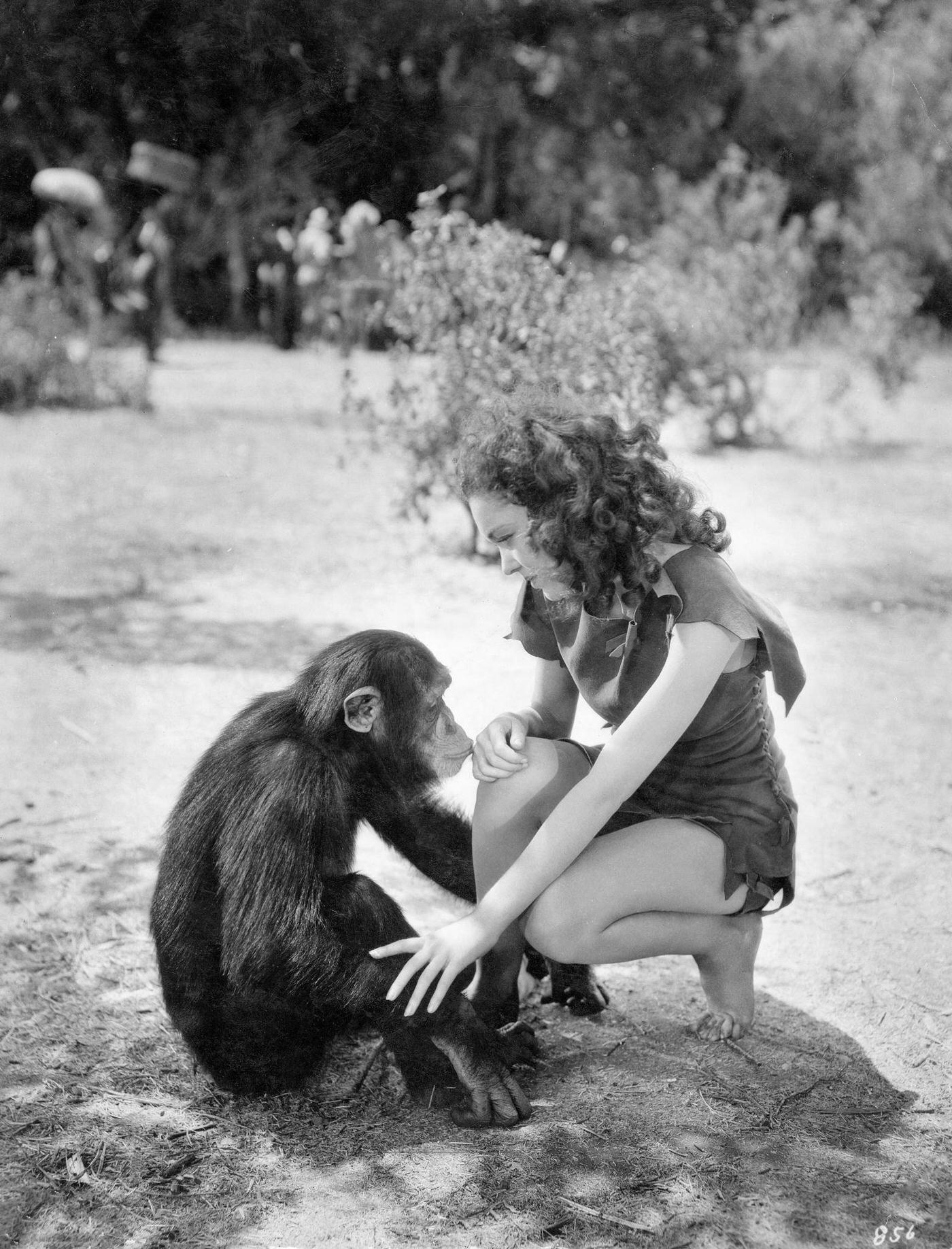 Maureen O'Sullivan In The Movie &Amp;Quot;Tarzan&Amp;Quot;: Scene With A Chimpanzee In &Amp;Quot;Tarzan.&Amp;Quot; Published In Koralle Magazine.