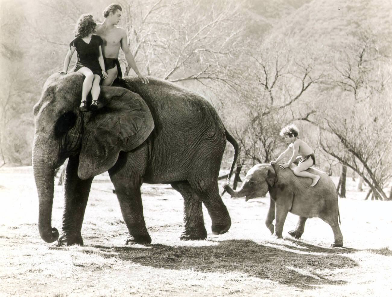 Tarzan: Weissmuller. Johnny Weissmuller As Tarzan, Maureen O'Sullivan As Jane, And Johnny Sheffield As Boy In A Tarzan Movie.