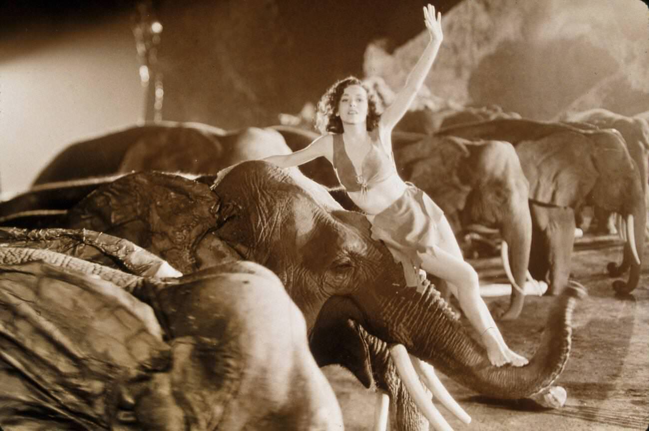 &Amp;Quot;Tarzan And His Mate,&Amp;Quot; Directed By Cedric Gibbons, Studio: Mgm. Pictured: Animals (With Actors), Character, Elephant, Cedric Gibbons, Maureen O'Sullivan.
