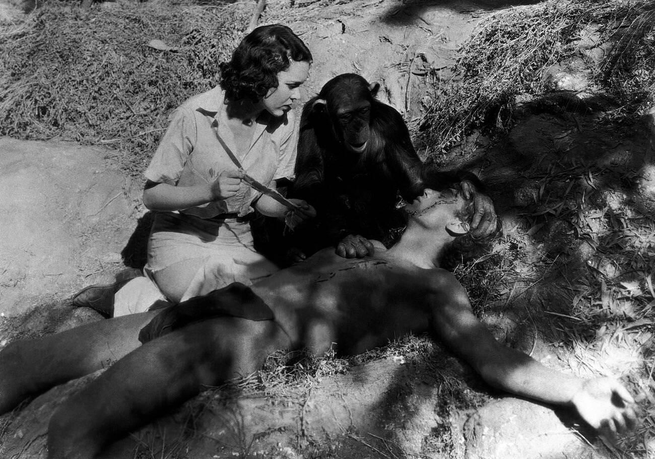 &Amp;Quot;Tarzan The Ape Man&Amp;Quot; (1932), Maureen O'Sullivan As Jane, Johnny Weissmuller As Tarzan, And Cheetah The Chimp.