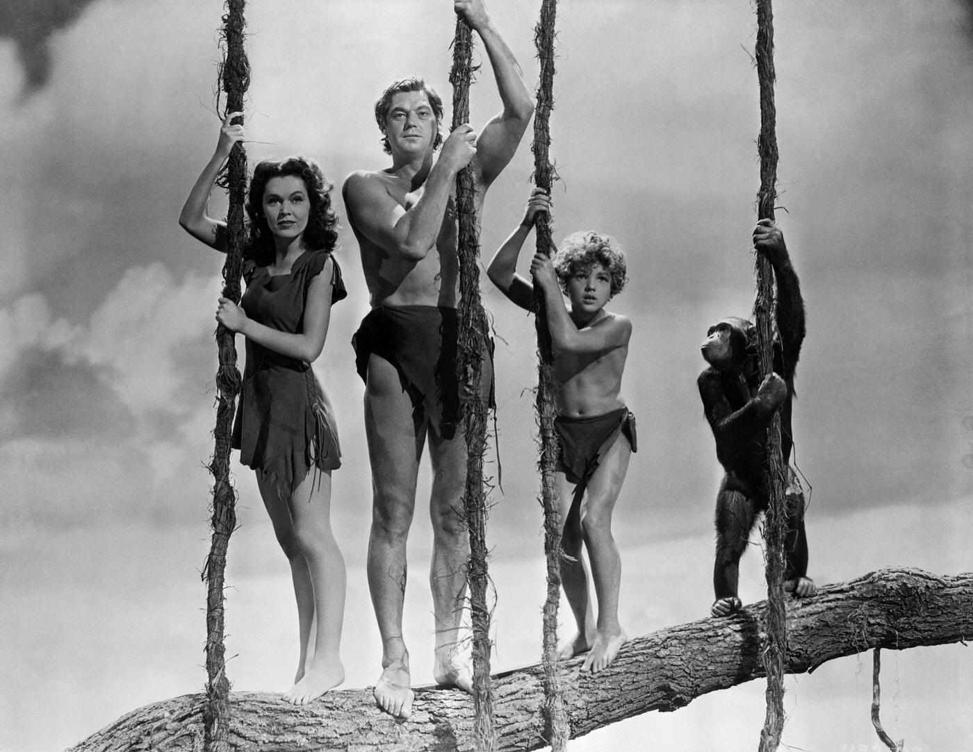 Tarzan, Jane, Boy, And Chimp: Maureen O'Sullivan As Jane, Johnny Weissmuller As Tarzan, And Johnny Sheffield As Boy In Tarzan Movies.