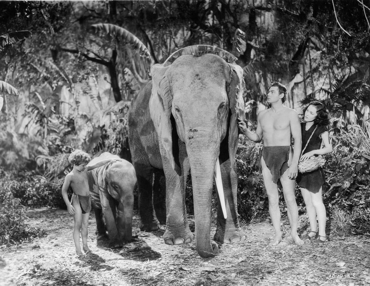 &Amp;Quot;Tarzan Finds A Son!,&Amp;Quot; 1939: Johnny Sheffield, Johnny Weissmuller, And Maureen O'Sullivan With Elephants.