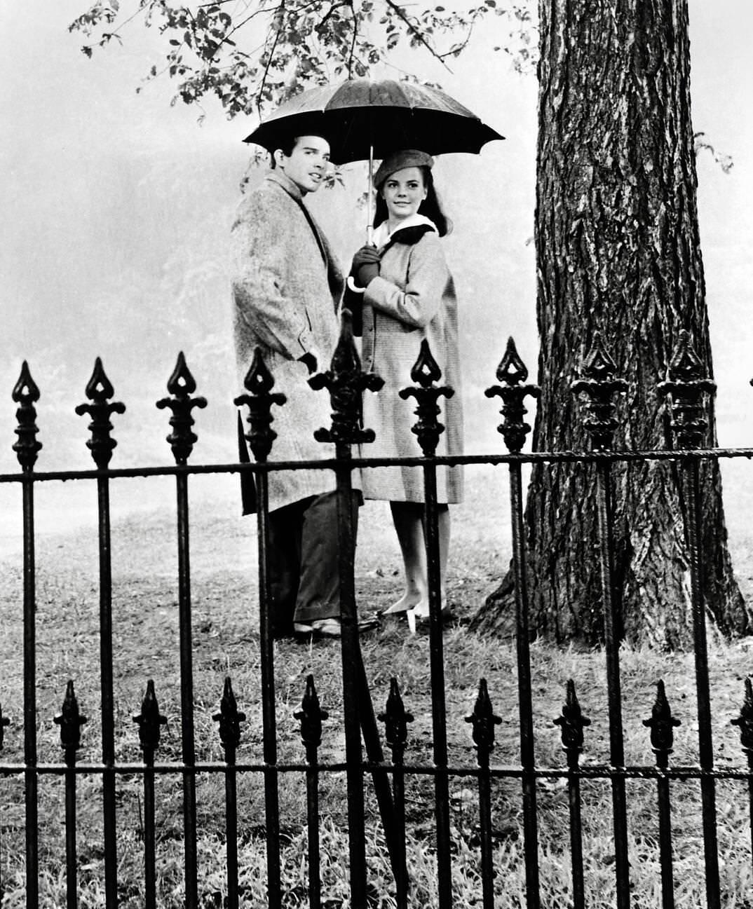 Natalie Wood And Warren Beatty In &Amp;Quot;Splendor In The Grass,&Amp;Quot; 1961