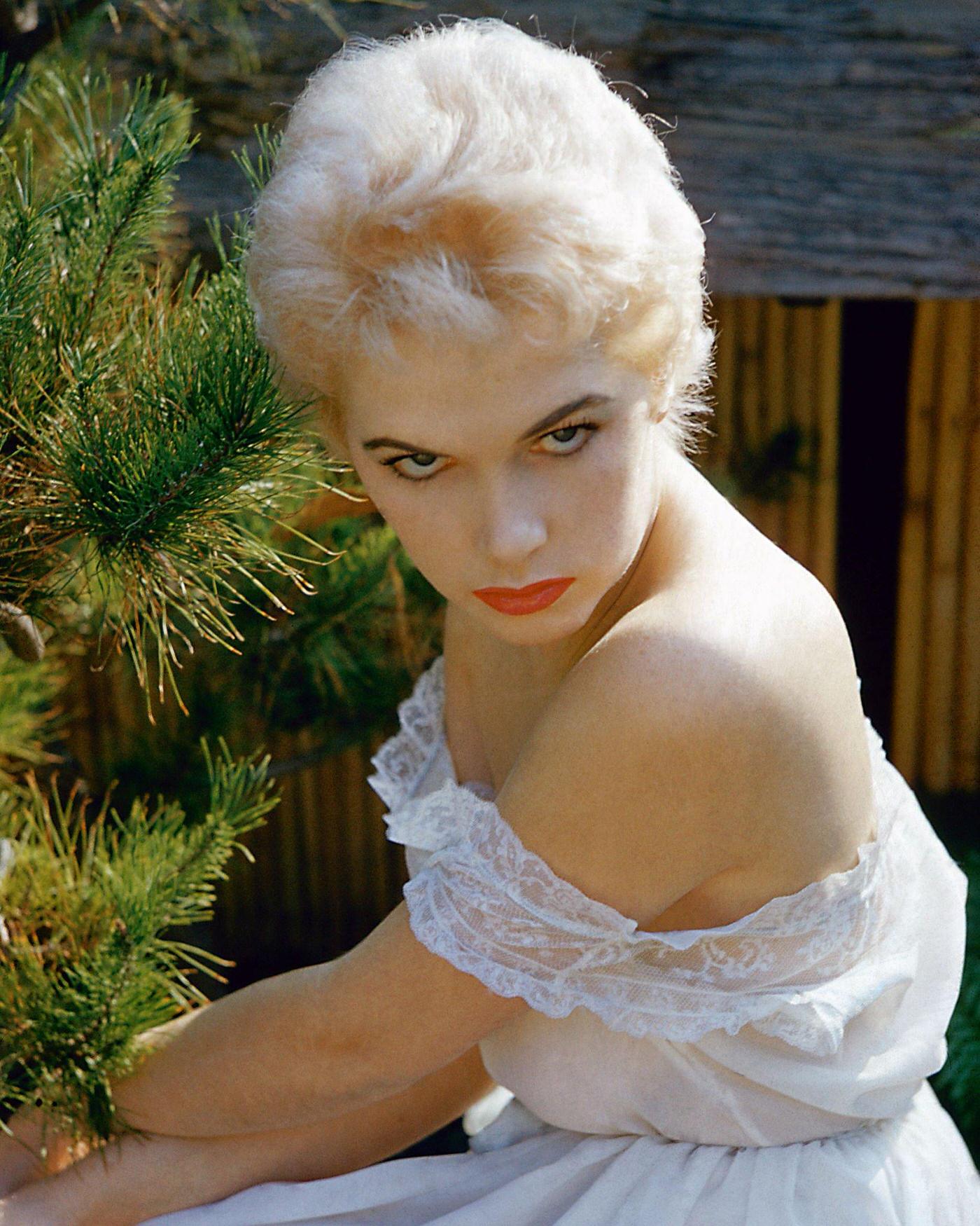 Stella Stevens, Poses Beside A Fir Tree In A White Off-The-Shoulder Dress With Lace Trim, 1960.