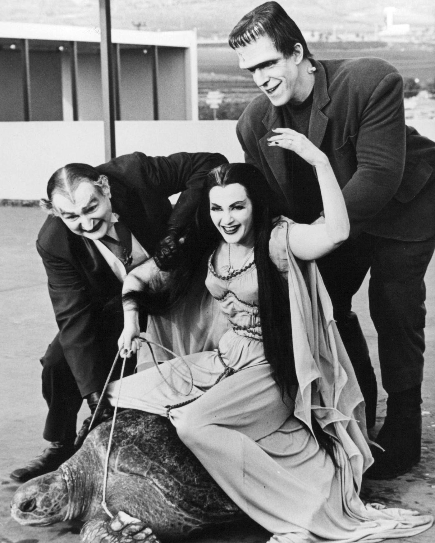 Yvonne De Carlo Rides A Giant Turtle With Al Lewis And Fred Gwynne In 'The Munsters,' Circa 1965.