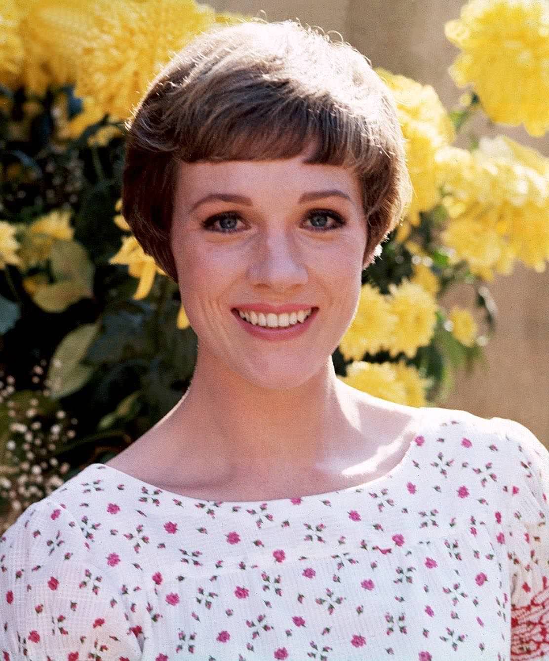 Julie Andrews, 1967.