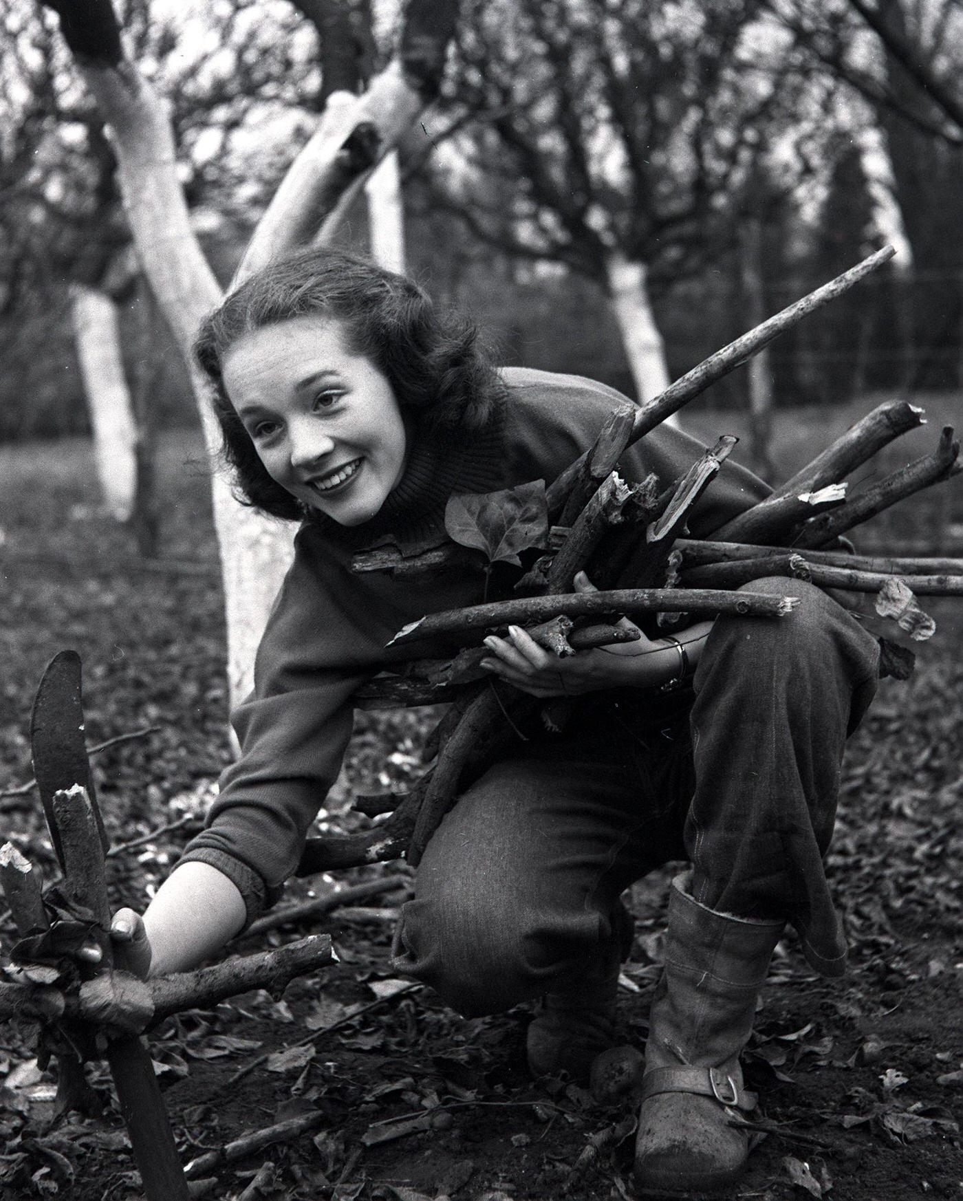 Julie Andrews Gathering Wood In Her Garden, 1953.