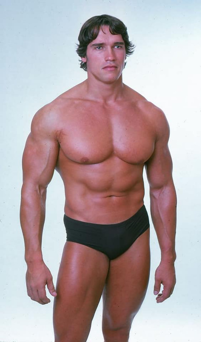 Arnold Schwarzenegger: The Pinnacle Of Physical Perfection In October 1976