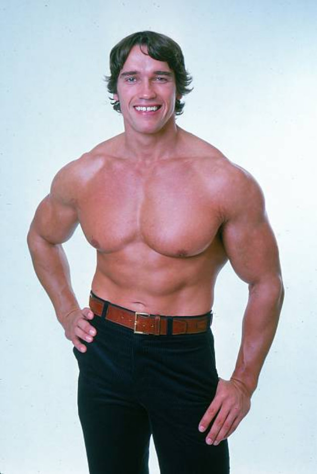 Arnold Schwarzenegger: The Pinnacle Of Physical Perfection In October 1976