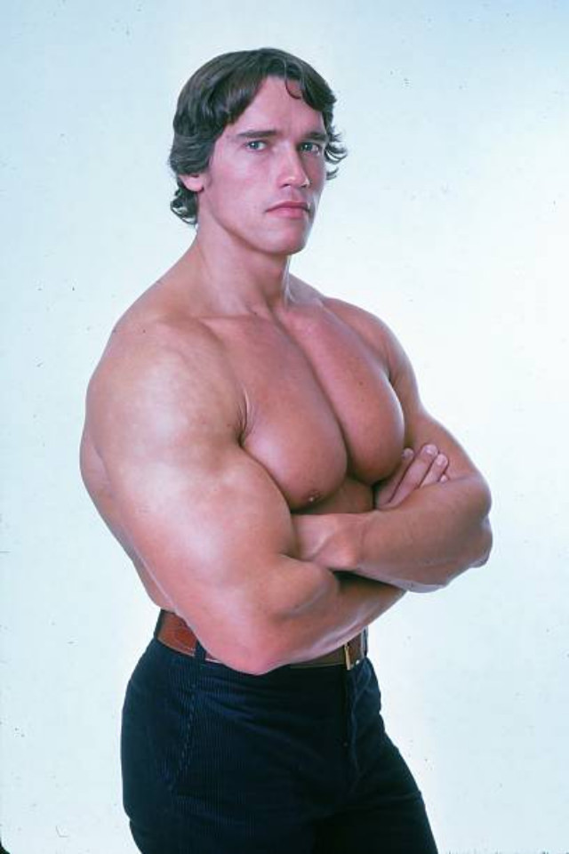 Arnold Schwarzenegger: The Pinnacle Of Physical Perfection In October 1976