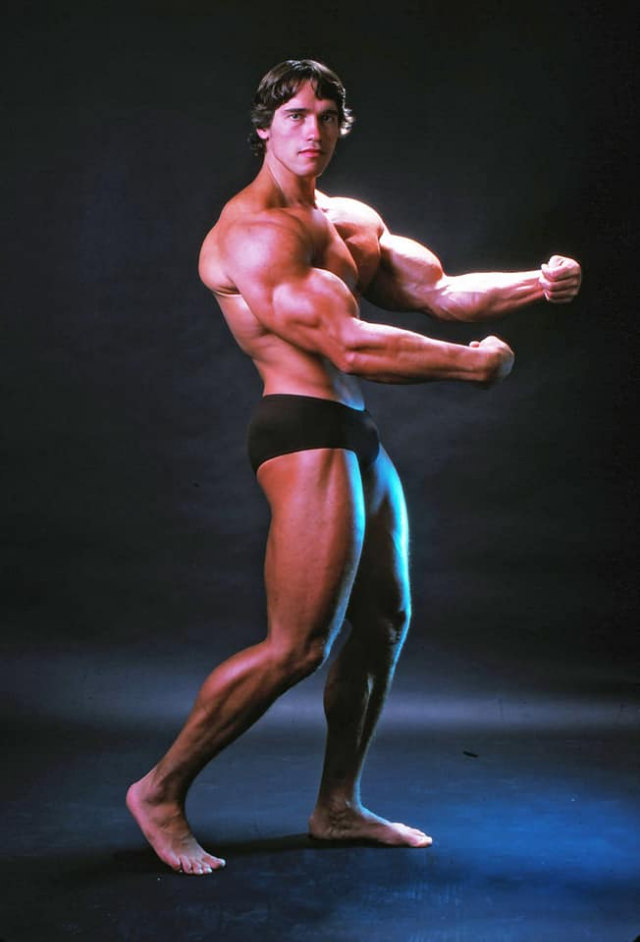 Arnold Schwarzenegger: The Pinnacle Of Physical Perfection In October 1976