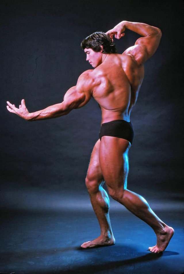 Arnold Schwarzenegger: The Pinnacle Of Physical Perfection In October 1976