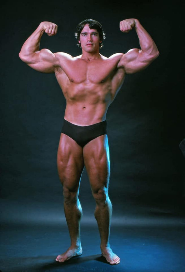 Arnold Schwarzenegger: The Pinnacle Of Physical Perfection In October 1976