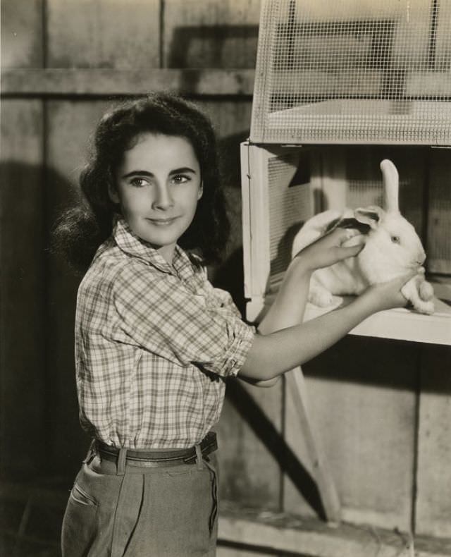 Elizabeth Taylor: A 1940S Photographic Gem By Clarence Sinclair Bull