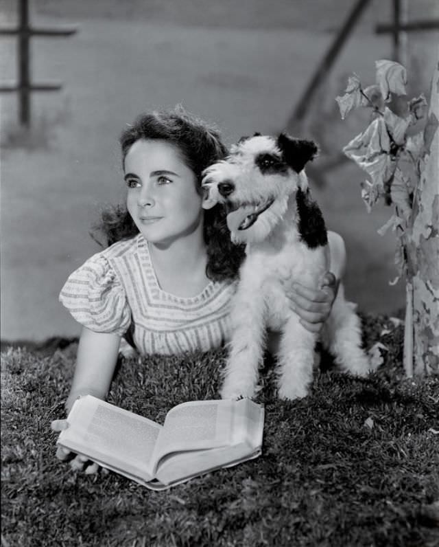 Elizabeth Taylor: A 1940S Photographic Gem By Clarence Sinclair Bull