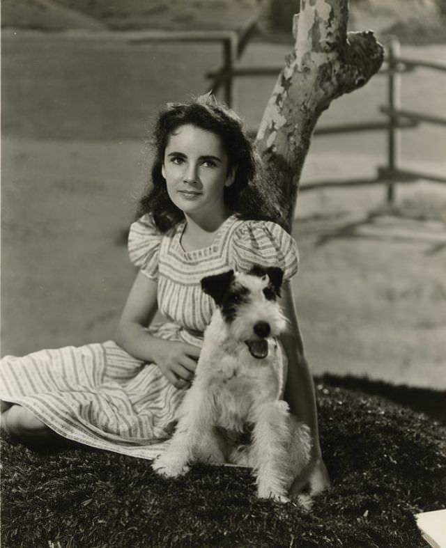 Elizabeth Taylor: A 1940S Photographic Gem By Clarence Sinclair Bull