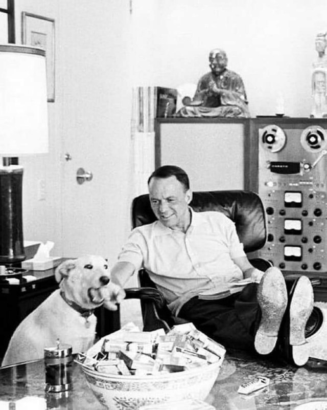 Frank Sinatra With His Dog: A Peek Into Sinatra’s Palm Springs Haven, 1964