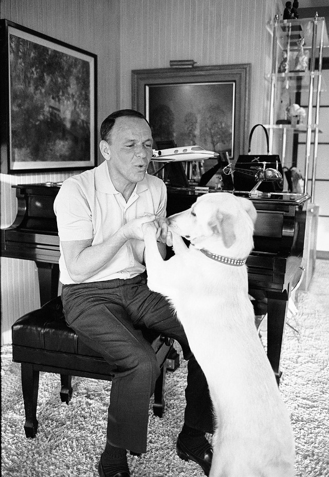 Frank Sinatra With His Dog: A Peek Into Sinatra’s Palm Springs Haven, 1964