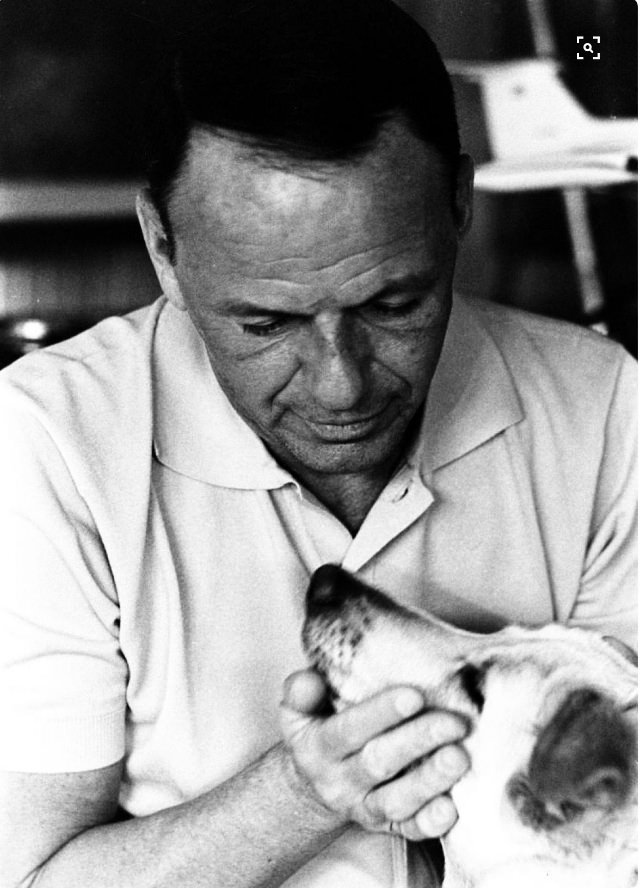 Frank Sinatra With His Dog: A Peek Into Sinatra’s Palm Springs Haven, 1964
