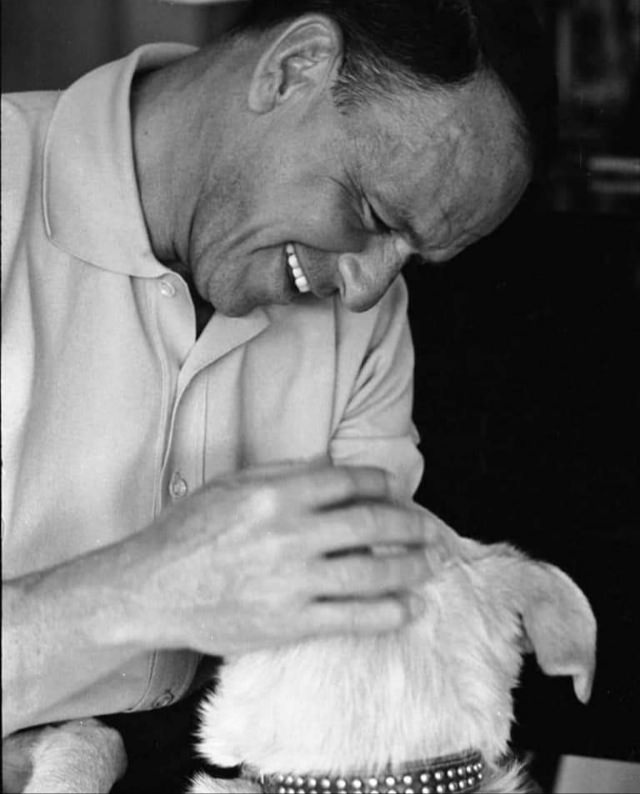 Frank Sinatra With His Dog: A Peek Into Sinatra’s Palm Springs Haven, 1964