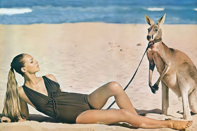 Camilla Sparv In A Brown Empire-Waist Maillot At Wanda Beach, Australia, 1964.