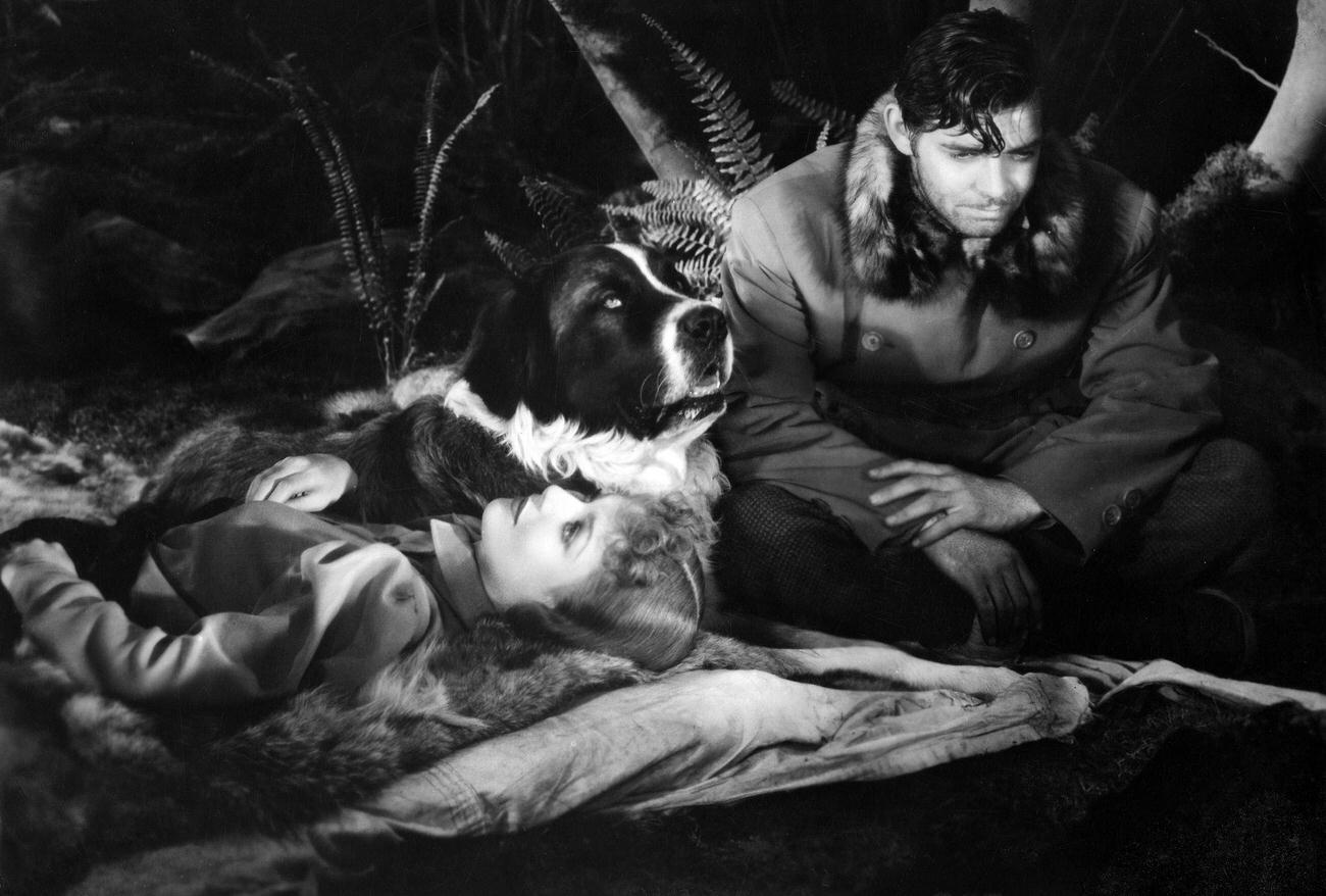 Clark Gable And Loretta Young In 'Goldfieber', Germany, 1937.