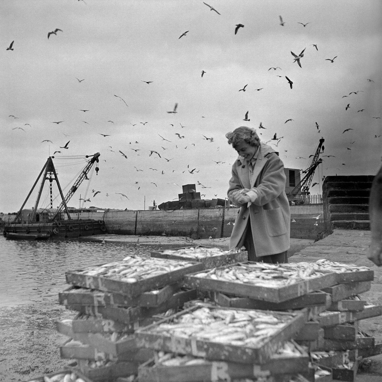 The Vibrant Journey Of Maria Schell: From Ingenue To Icon Through Fabulous Photos