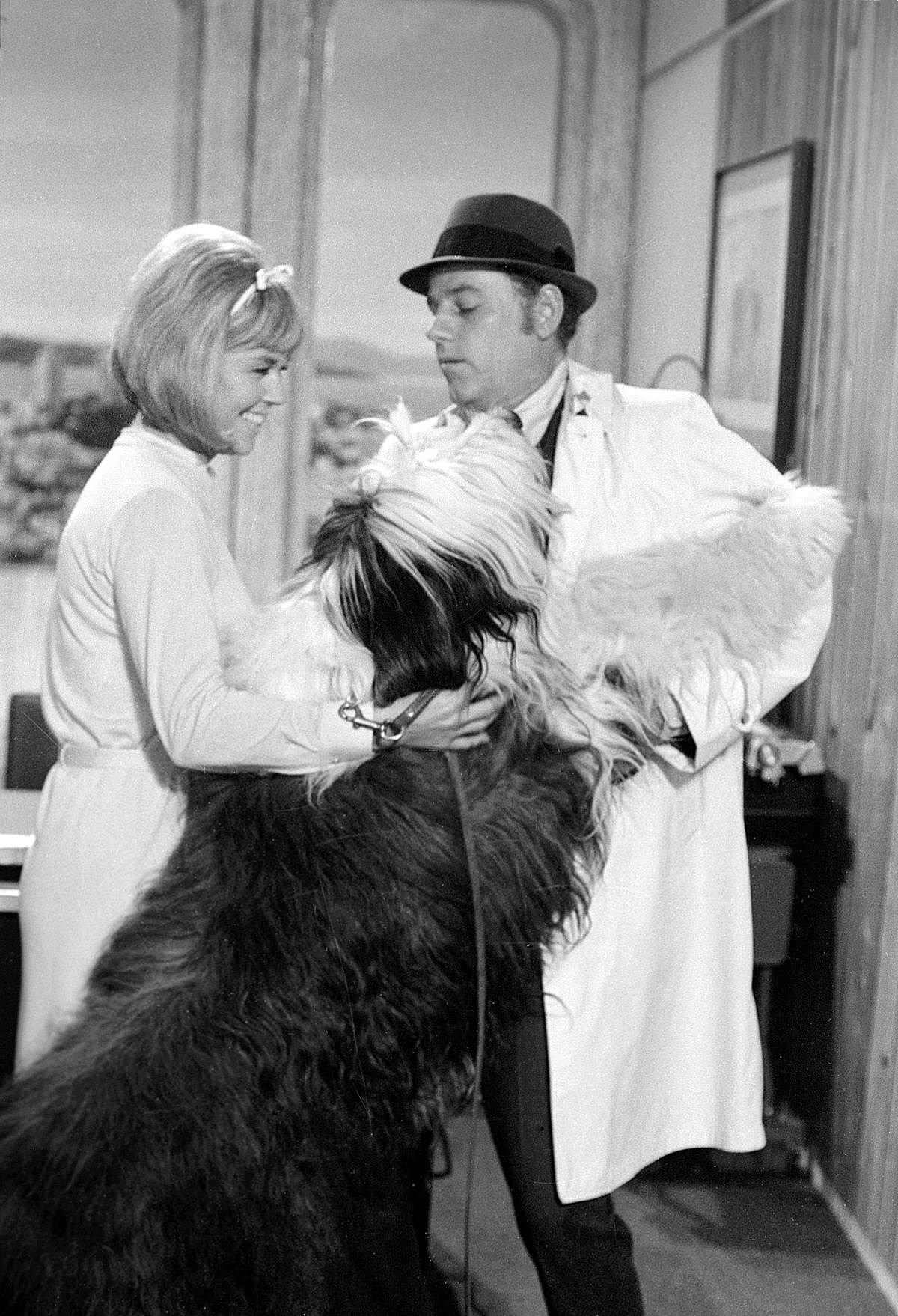 'The Doris Day Show', Episode 'Doris Gets A Job' With Doris Day And Mclean Stevenson, June 18, 1969.