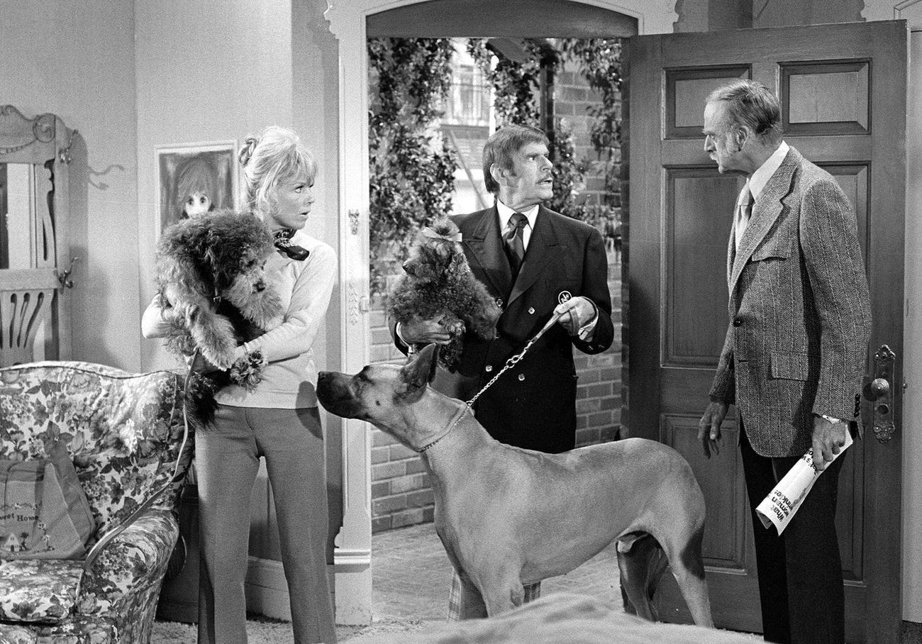 'The Doris Day Show' Featuring Doris Day, Billy De Wolfe, And John Dehner, Episode 'It'S A Dog'S Life', October 4, 1972.