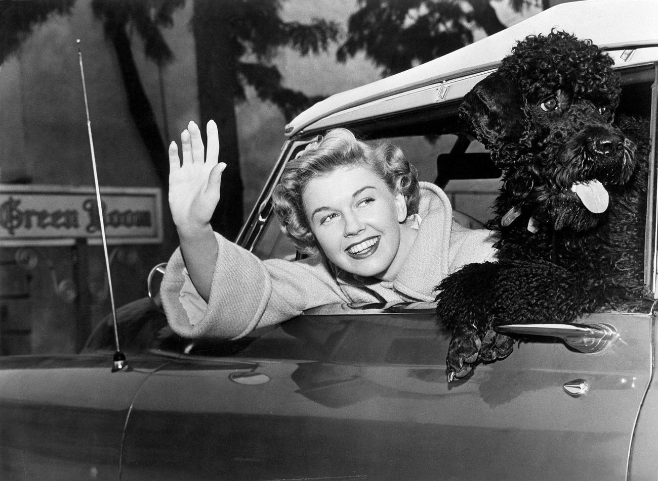 Doris Day With A Poodle In Her Car, Circa 1955.
