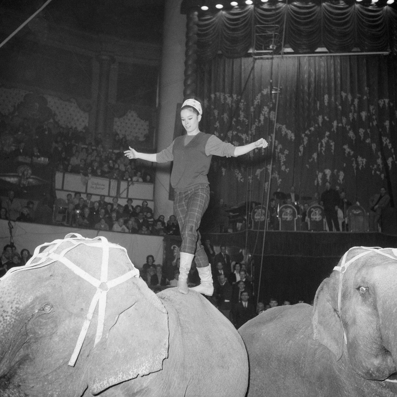 Geraldine Chaplin Rehearsing On An Elephant For The 'Gala De L'Union Des Artistes' In Paris, France, 1964.