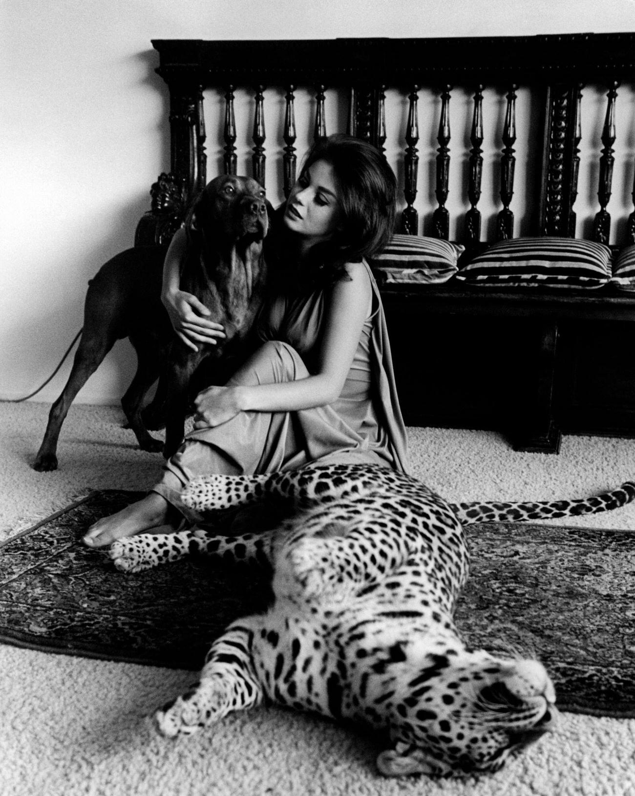 Lana Wood Playing With A Dog And A Leopard, 1966.