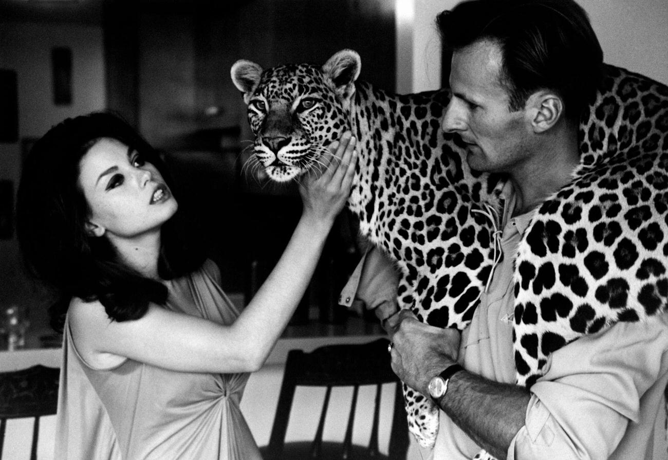 Lana Wood Caressing A Leopard, 1966.
