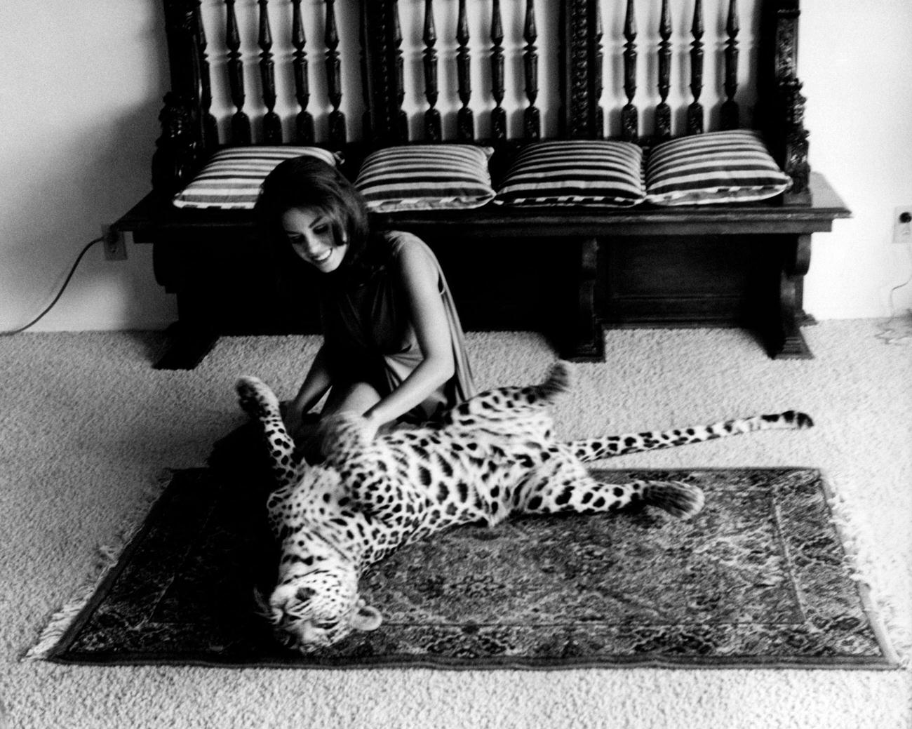 Lana Wood Playing With A Leopard, 1966.