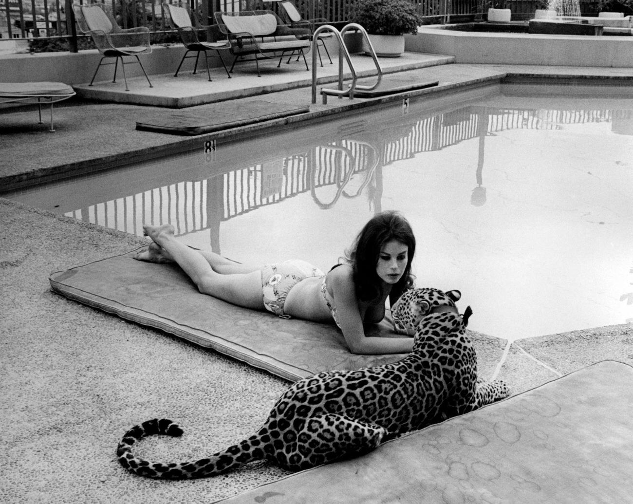 Lana Wood Lying By The Swimming Pool Beside A Leopard, Usa, 1966.