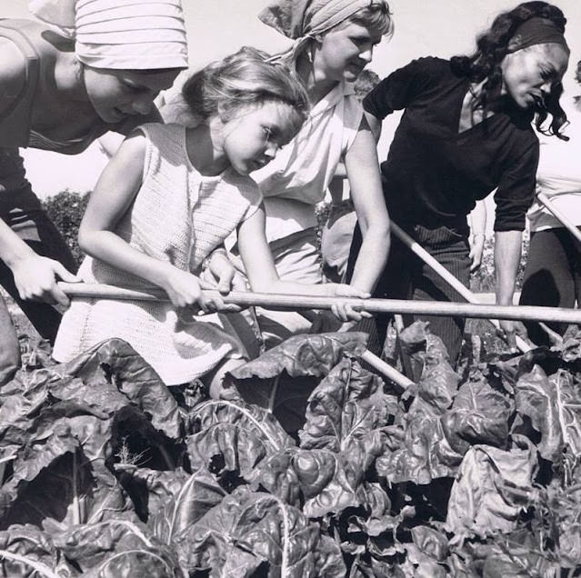 The Sweet And Loving Moments Of Eartha Kitt With Daughter Kitt Captured In 1960S Photos