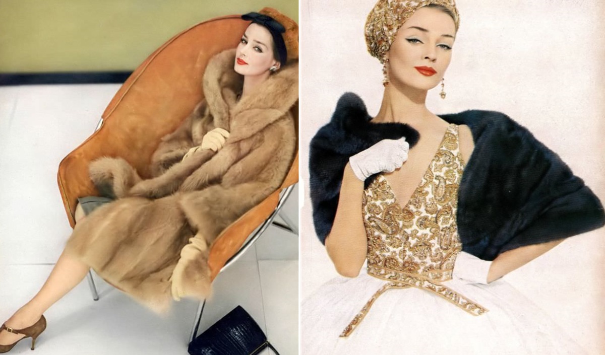 Dolores Hawkins Modeling Career