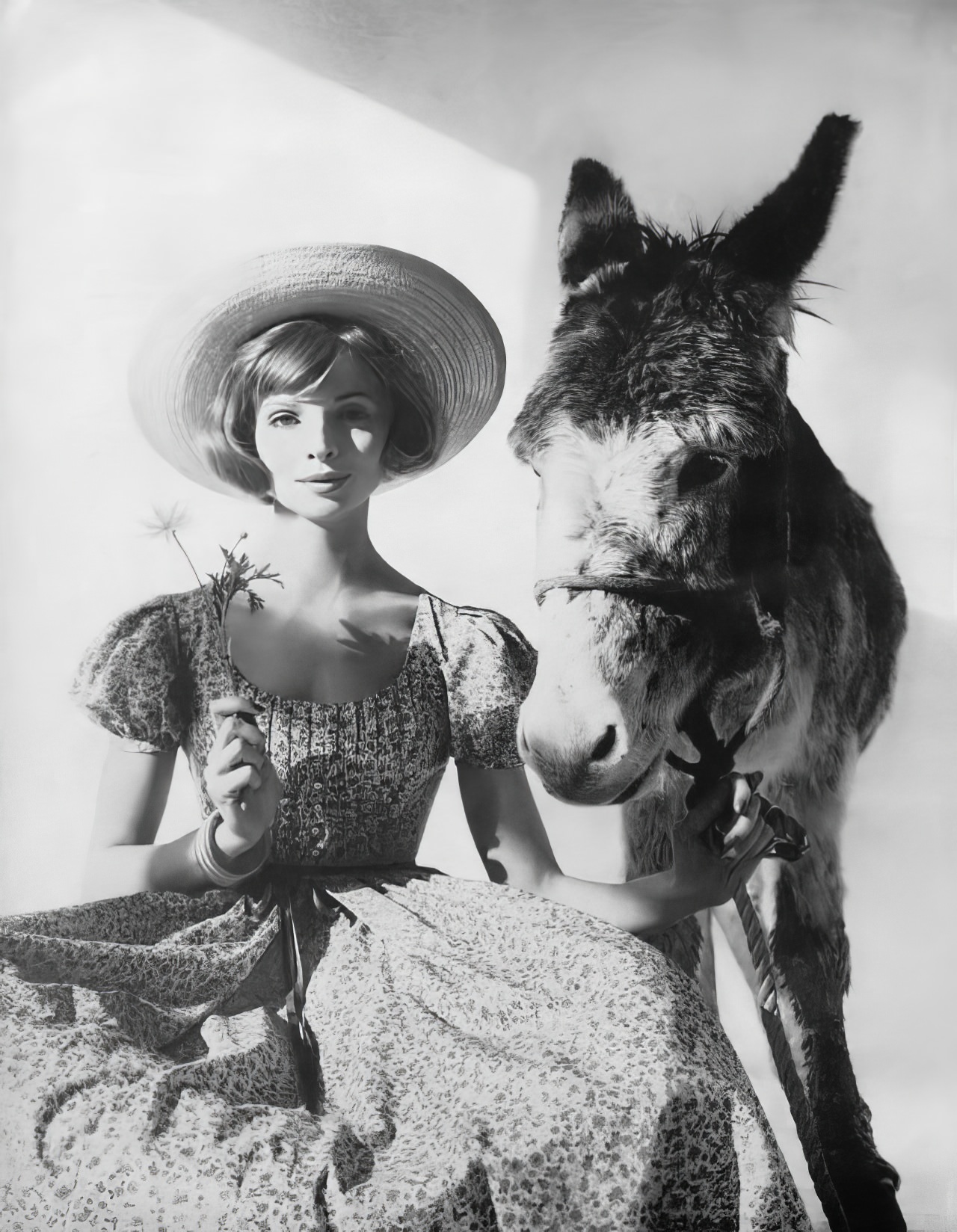 Iris Bianchi In A Pink Everglaze Cotton Dress By Anne Fogarty, Harper'S Bazaar, April 1959.