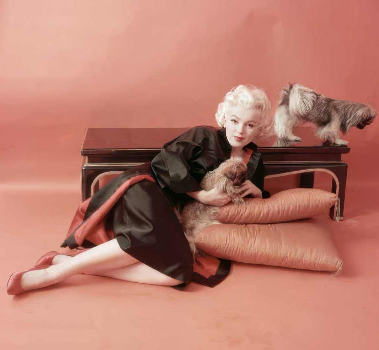 Heartwarming Vintage Photos Of Marilyn Monroe Posing With Her Dogs