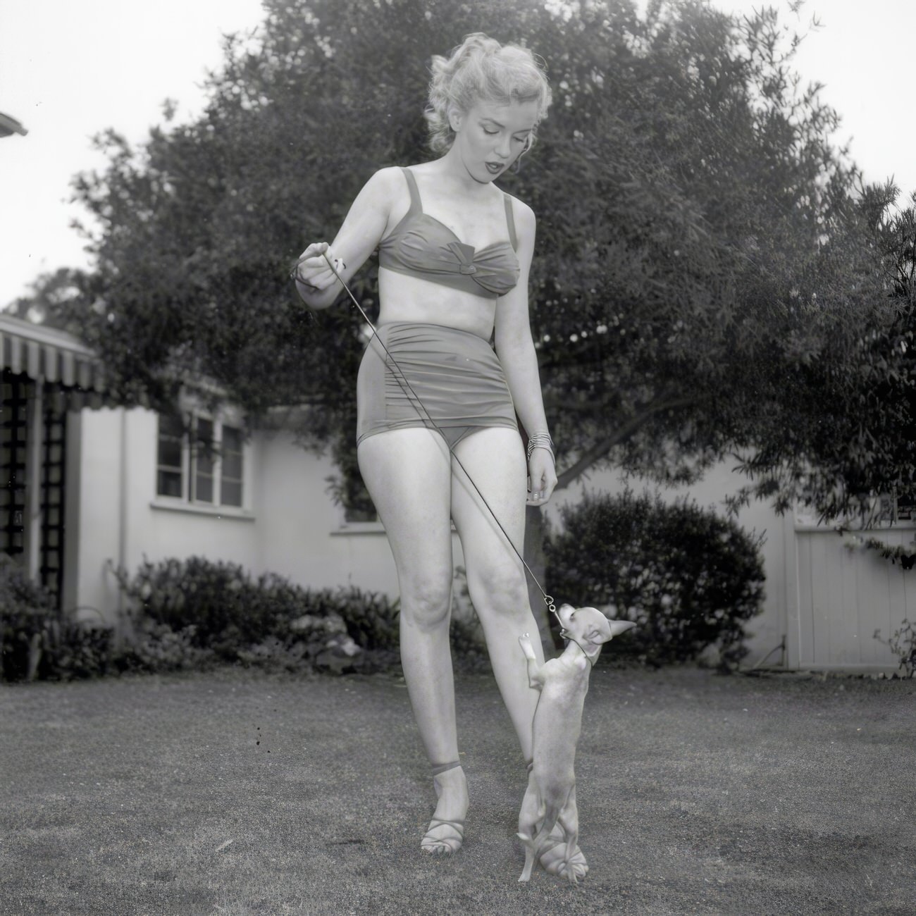 Heartwarming Vintage Photos Of Marilyn Monroe Posing With Her Dogs