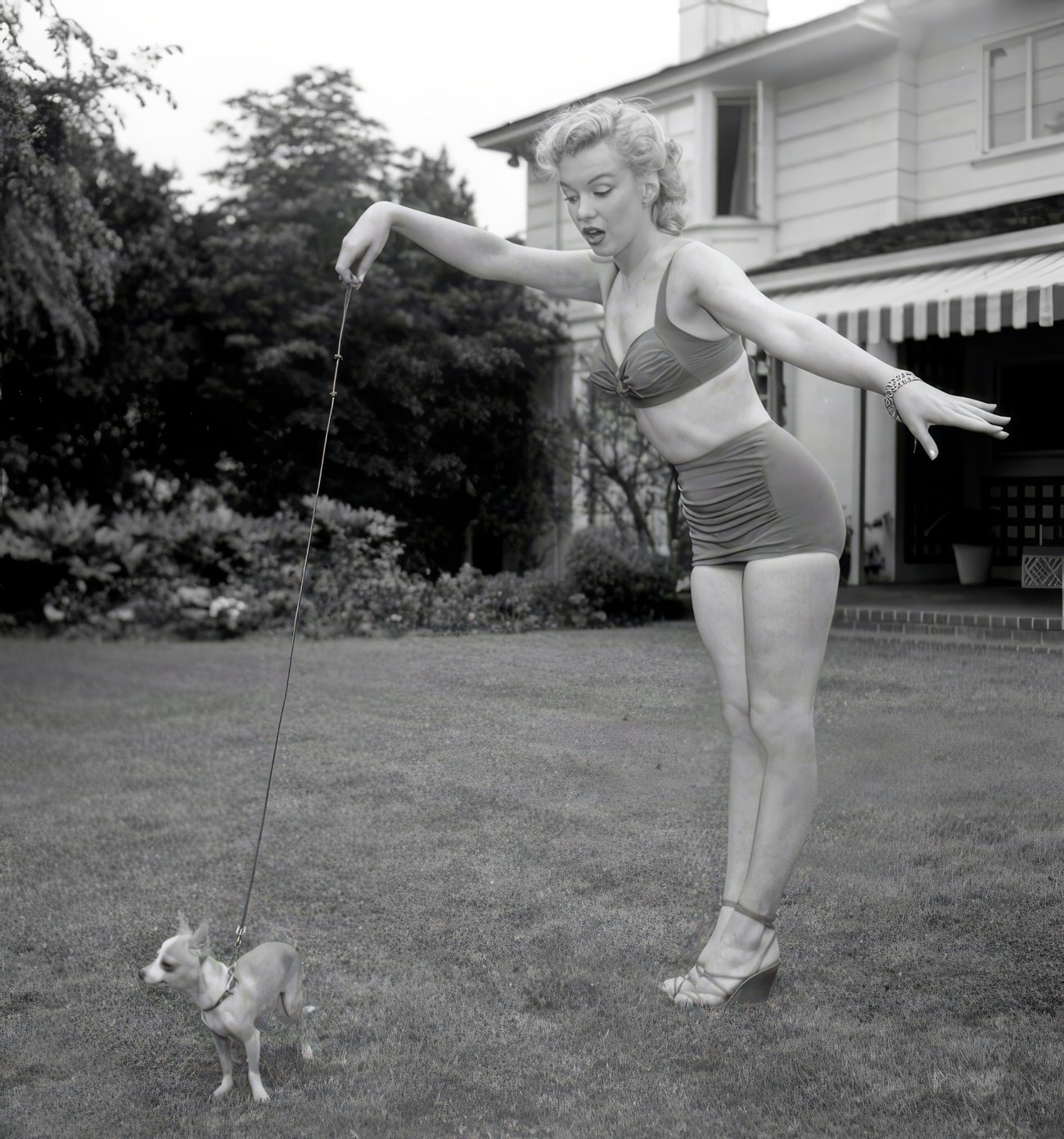 Heartwarming Vintage Photos Of Marilyn Monroe Posing With Her Dogs