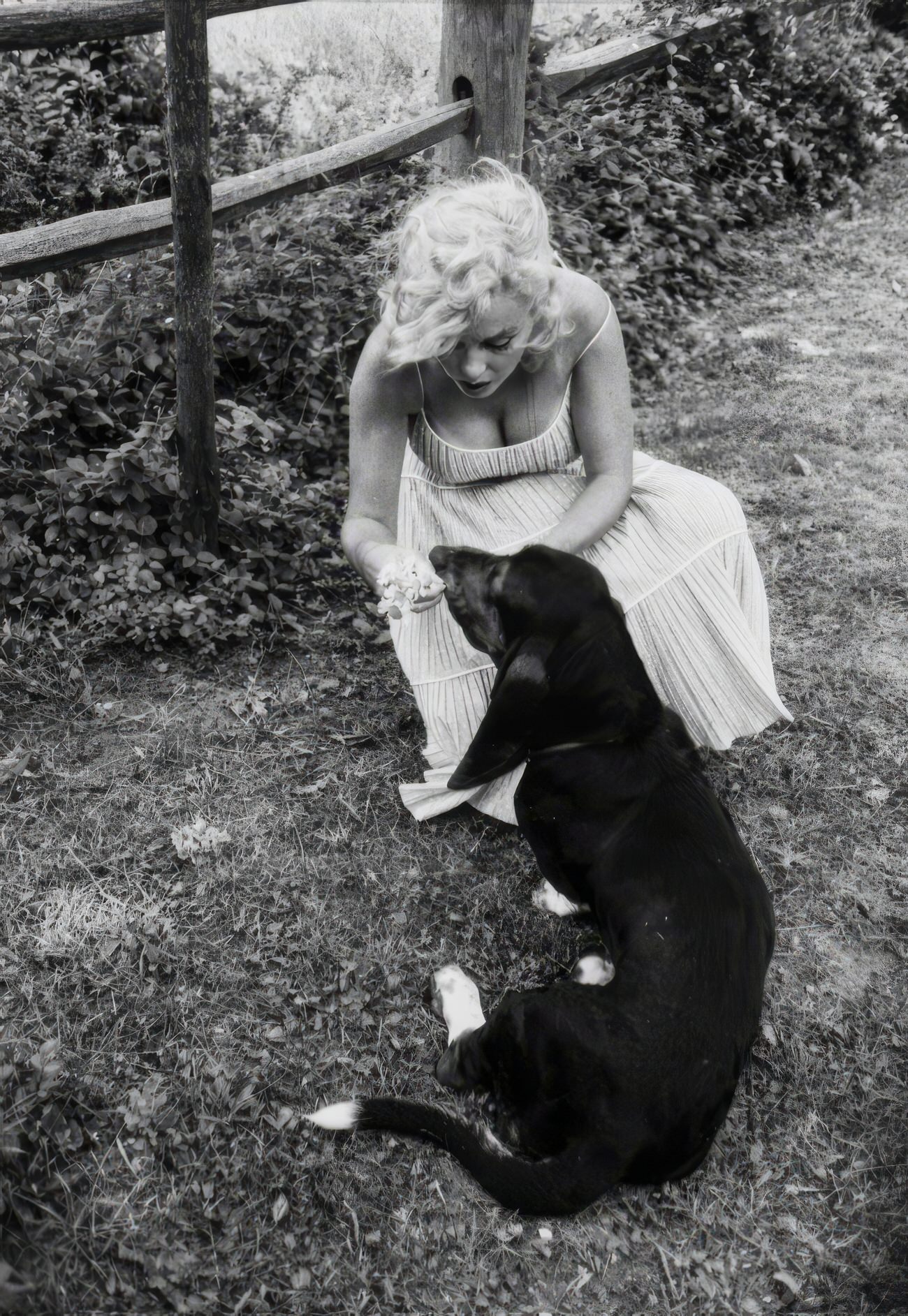 Heartwarming Vintage Photos Of Marilyn Monroe Posing With Her Dogs